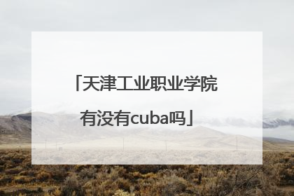天津工业职业学院有没有cuba吗