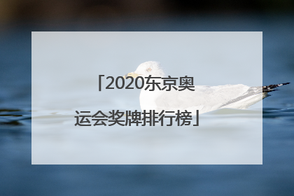 「2020东京奥运会奖牌排行榜」2020东京奥运会奖牌排行榜29