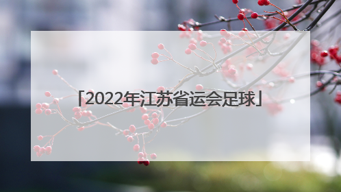 「2022年江苏省运会足球」2022江苏省运会足球比赛结果
