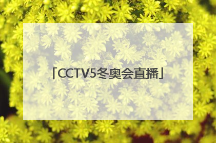 「CCTV5冬奥会直播」cctv5冬奥会直播视频