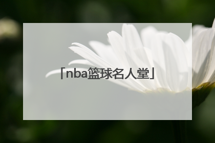「nba篮球名人堂」NBA篮球名人堂中国人名单